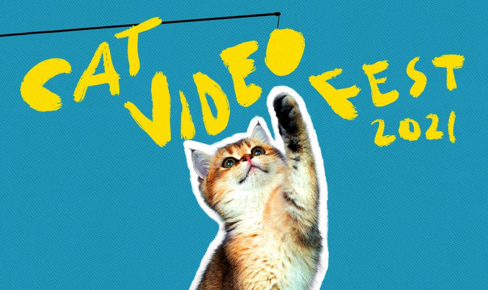 CatVideoFest 2021