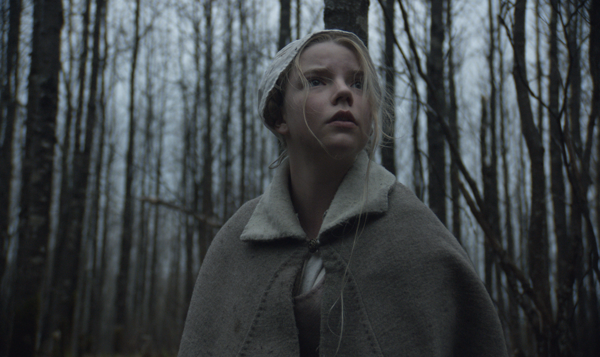 THE WITCH
