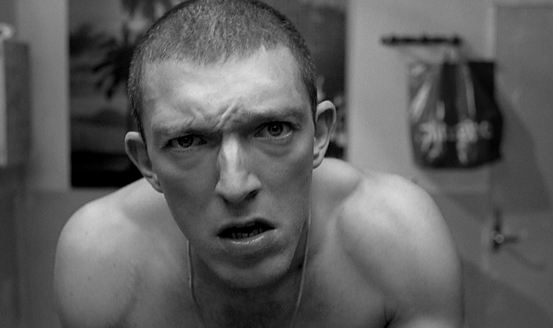 LA HAINE