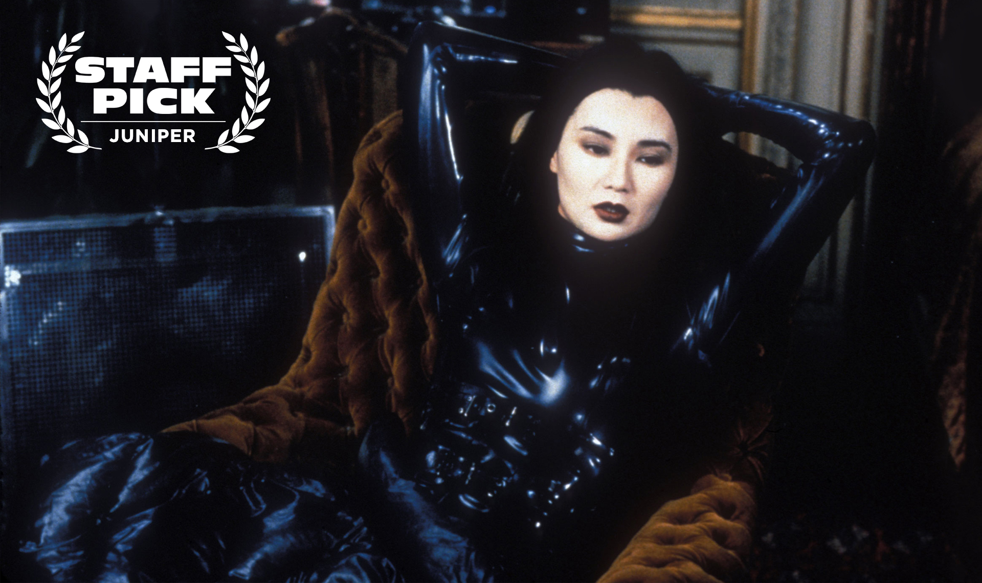 IRMA VEP