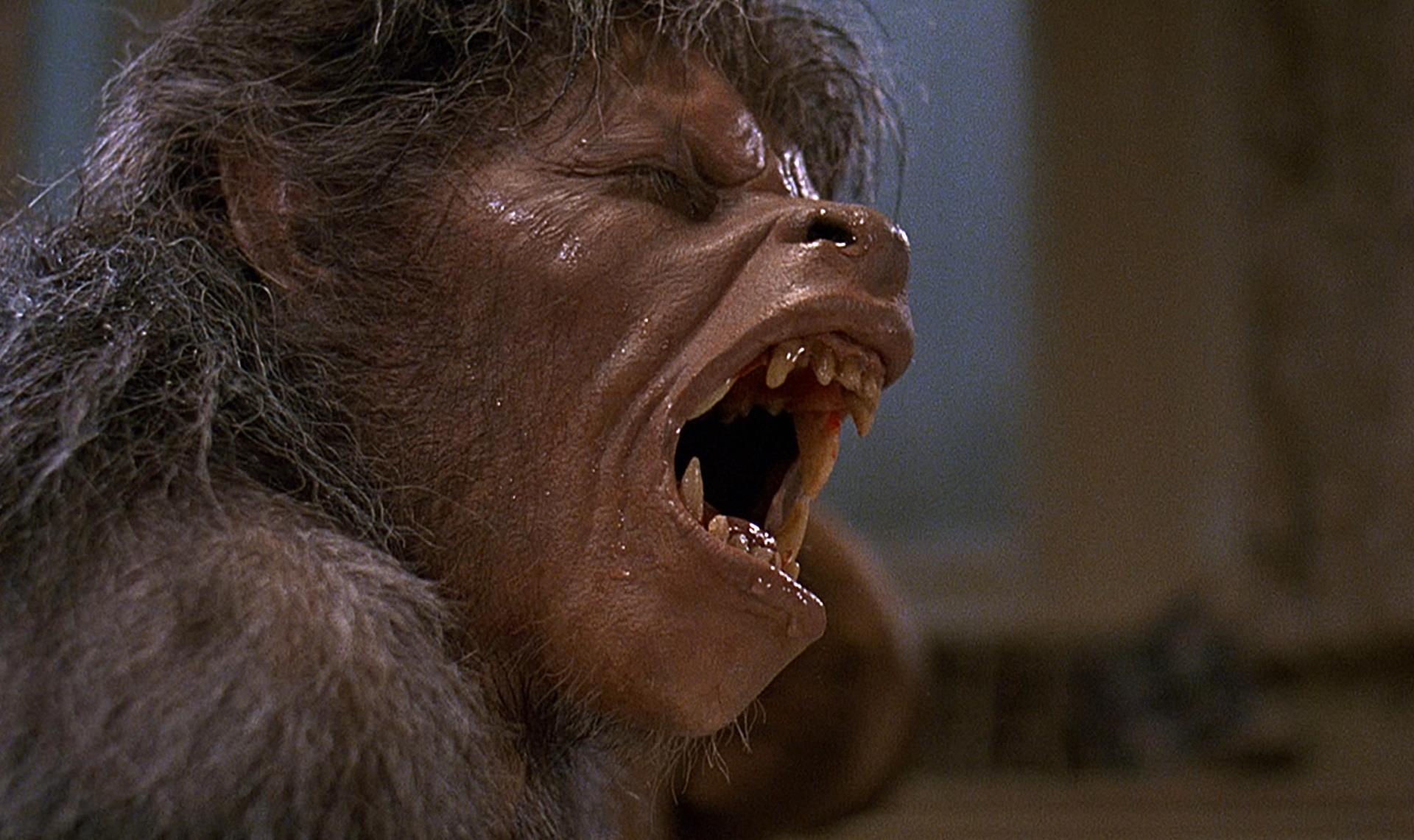 AN AMERICAN WEREWOLF IN LONDON